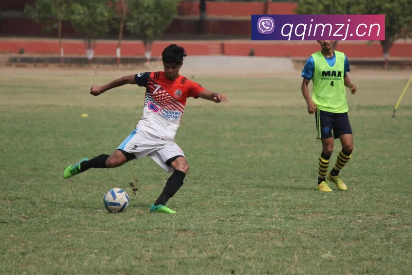 开云kaiyun入口发展历程